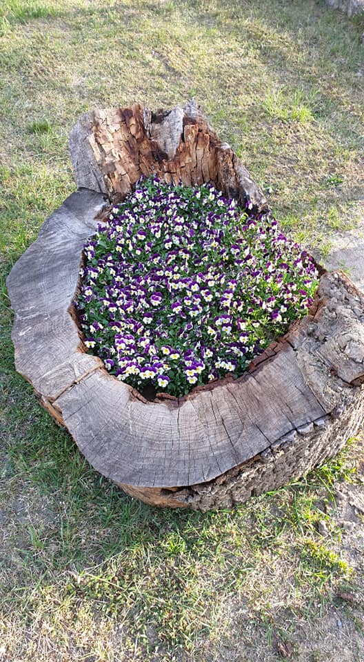 Naturalny kwietnik Balsanature